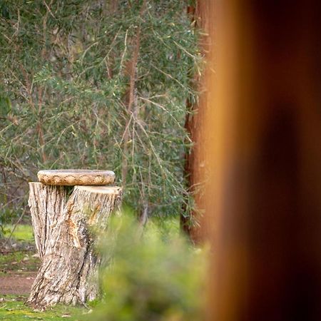Margaret River Chalets Екстериор снимка